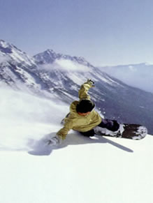 Vectorply makes snowboarding better than ever